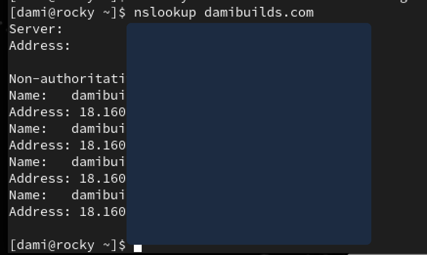 nslookup resolving public IP